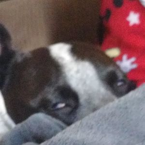 Meet your Posher, Holly